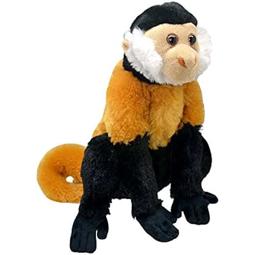 Amazon.co.uk capuchin monkey