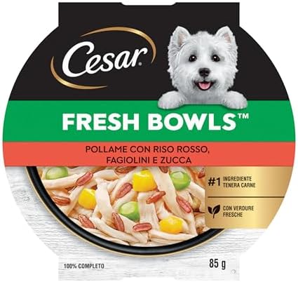 CESAR Fresh Bowl Cani Adulti Pollame con Riso, Fagiolini, Zucca Salsa 85g, 10 Confezioni