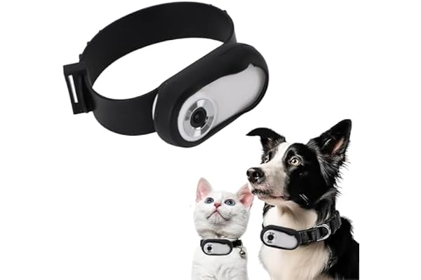 Dpofirs Collier pour appareil photo chat, caméra HD 1080p pour animal domestique avec objectif grand angle de 170°, affichage numérique, carte mémoire jusqu'à 128 Go, noir, petit, chat