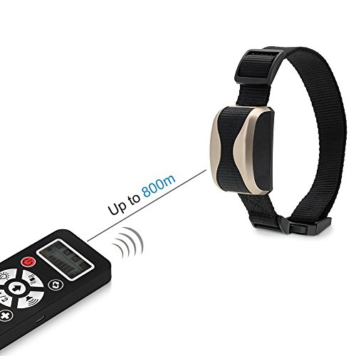 Fanme-800-Yards-Remote-Dog-Training-Collar-Rechargeable-Pet-Training-Collar-with-Automation-Adjustable-Beep-Vibration-Flashlight