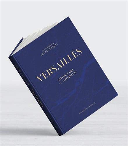 Télécharger Versailles: Savoir-faire et matériaux PDF Ebook En Ligne