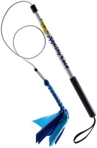 Squishy Face Studio 24-Inch Flirt Pole V2 Dog Exercise Toy with Blue/Aqua Squeaker Fleece Lure, Junior Size by Squishy Face Studio