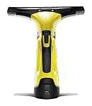 Kärcher WV5 Premium Window Vac