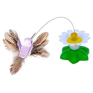 NiceButy Juguete colibrí eléctrico Giratorio Gatito Jugar de Alambre de Acero Gato Juguete con la Pluma Juego Interactivo Juguetes para Gatos (colibrí) X 1