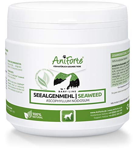 AniForte Harina de algas 250 g Naturprodukt para perro