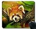 Produktbild Yanteng Mauspad mit genähtem Rand, Behandlungstier, Kleiner Panda, Baum, Mäusematte, Rutschfeste Gummibasis Mousepad für Laptop, Computer