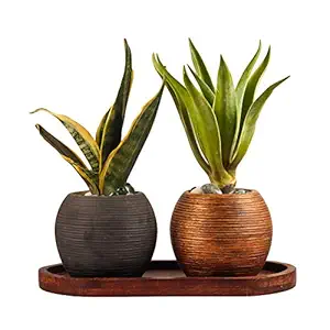 Lasaki Globe Ceramic Pots with Wooden Plate for Indoor, Outdoor, Garden, Balcony, Plants, Planters, Flower Pots, Gamla Succulent Pot(Color: Antique and Black , Plate: anitque wov14) Set of 2