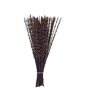 CRAFTWAFT Artificial Moti Sticks Floral Bunch (Brown, Gold)