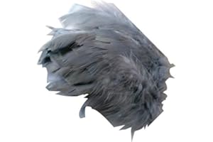 CELEBRATION Environ 25 Plumes Coloris au Choix Deco fête Mariage Costume déguisement (Gris)
