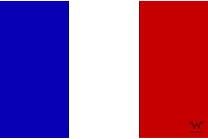 WHATABUS Autocollant Drapeau de la France 8,5 x 5,5 cm