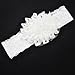 SWT Infants Toddlers Baby Girls Lace Headband wiht Flower for Age 0~5 --- White