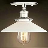Para LED o de ahorro de energía lámparas, glüm adecuado de lámpara: E27, máx. 40 W, 230 V, 50 Hz, no incluido.