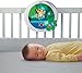 Fisher-Price Rainforest Waterfall Peek A Boo Soother