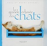 La grande odyssée des chats by 