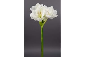 SEIDENBLUMEN ROß Große Amaryllis 65cm weiß-Creme GA Seidenblumen Kunstblumen künstliche Blumen