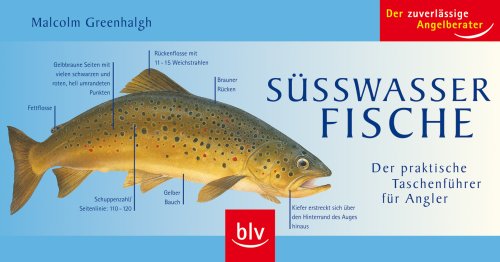 Download Süßwasserfische: Der praktische Taschenführer für Angler