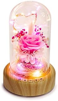 LED Bluetooth Speaker Wishing Bottle – Zikken Decoration LED Night Light, Eternal Flower Glass Dream Streamer Bottle, Mini Bluetooth speaker, Gifts for Lover, Friends