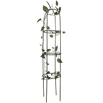 Arche De Jardin DIVCHI En Métal Noir - Obélisque Pour Plantes Grimpantes (Rosiers, Clématites...) - Hauteur 2,4 M