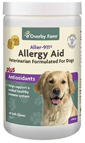 allergy support for dogs