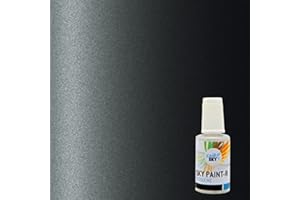 CARSKY Stylo retouche peinture carrosserie compatible avec Dacia Gris Comete KNA (flacon pinceau 20ml) + vernis brillant (flacon pinceau 20ml)