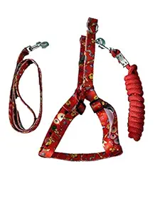 PET CLUB51 Combo Dog Print Harness WO PAD with Rope -XS-RED-Puppy Dogs