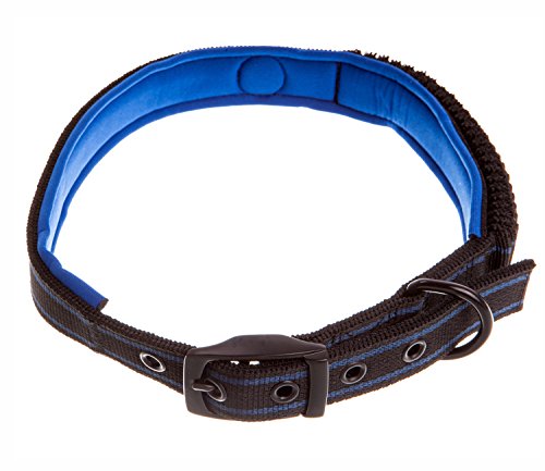 Preisvergleich Produktbild Tyker - Hochwertiges reflektierendes Hundehalsband mit weichem Neoprenpolster - Rot - Schwarz - Blau