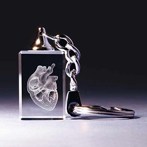 Schlüsselanhänger Herz anatomisch