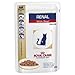 Produktbild Royal Canin Renal Katze Nassfutter Rind 12 x 100g