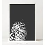Kunstdruck / Poster GRUMPY OWL -ungerahmt- Vogel, Eule, skandinavisch, nordisch