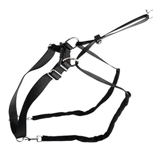 MAXI LEADER Arnés de adiestramiento talla 1, negro