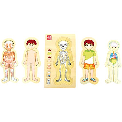 Legler Anatomy Tim Wooden Puzzles