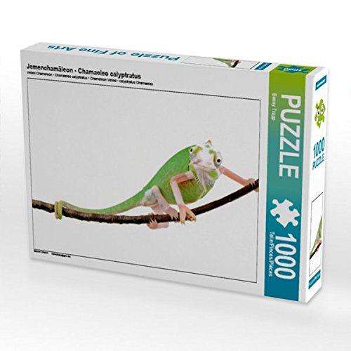 Jemenchamäleon - Chamaeleo calyptratus 1000 Teile Puzzle quer (CALVENDO Tiere)