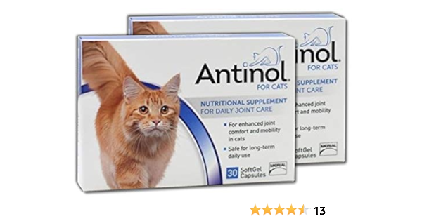 Antinol Merial Joint Health Nahrungserganzungsmittel Fur Katzen Weiche Gel Kappen 2 Stuck 30 Stuck Amazon De Sport Freizeit