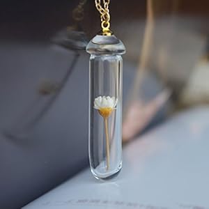 Gänseblümchen Elfenbein Echte Blume Transparent Pilz Glas Flasche 18K Vergoldet Lange Halskette 65cm Kette