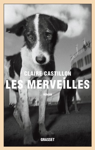 Les  Merveilles : roman
