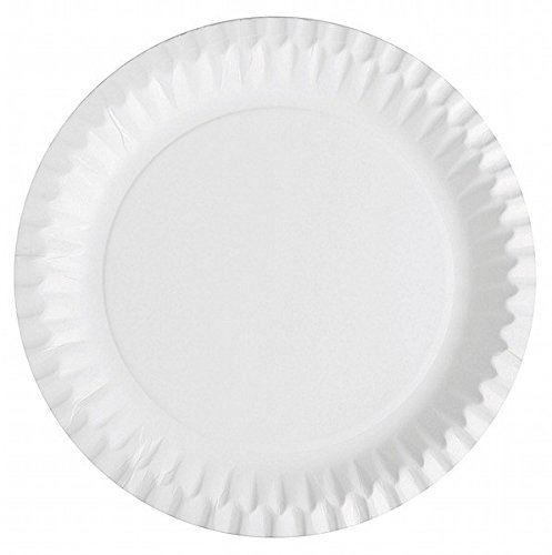 100 Pappteller weiss 23cm
