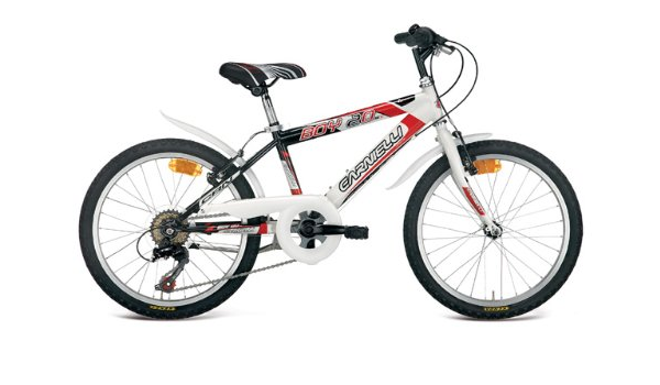 BICICLETTA CARNIELLI MTB Boy ST20 kids bici bambini ciclismo ragazzi :  Sport e tempo libero