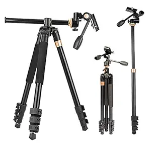 HIFFIN HF-999 Professional Portable Magnesium Aluminum Alloy Tripod Monopod with Detachable Ball Head and Pocket for Digital Camera and Camcorder (Black) (Professional Tripod with Monopod)