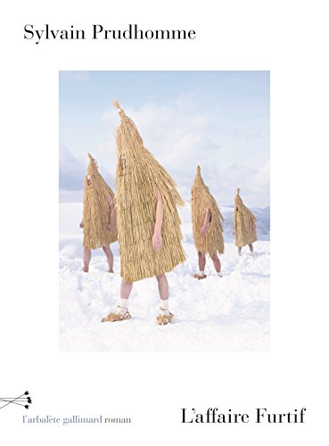 L'Affaire Furtif