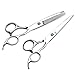Ayliss® Pro Salon Barbers Hairdressing Set Hair Cutting Cape+2pcs Stainless Steel Scissors+4pcs Combs (#3)