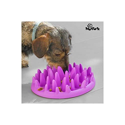 Interactive My Pet EZ Slow Food Bowl