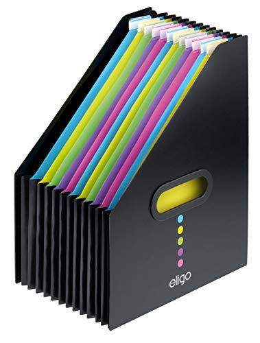 Snopake 15171 - Archivador de tipo revistero, color negro