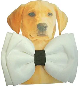 Dog Bow Tie by Lana, Quirky & Cool Dog Fashion Accessory with Easy to use Adjustable Strap (Medium to Large) - Gentleman's Bow-Tie