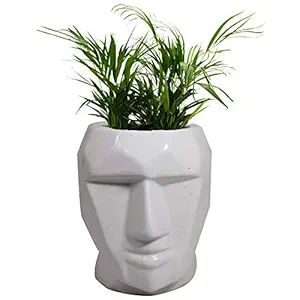 India Meets India Ceramic Flower Vase (8.5 x 4.5 inch, White), (Model: 156HOVP00090)