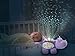 VTech Baby Starlight Sounds Hippo