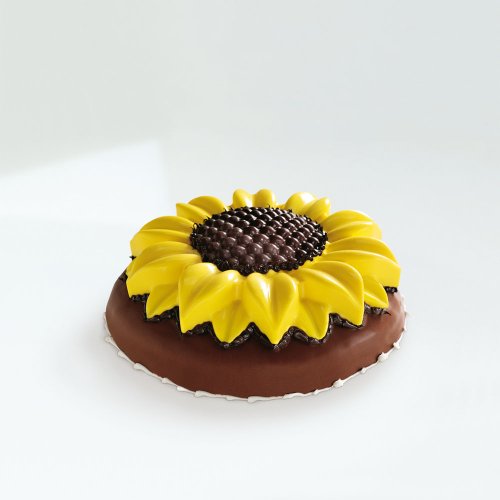 Imagen 1 de Silikomart SFT 252 W/H