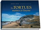 Les tortues marines de Guyane