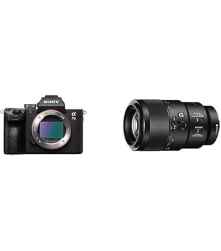 Buy Sony Alpha ILCE-7M3 Full-Frame 24.2MP Mirrorless Digital SLR 