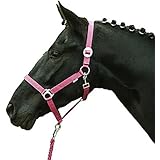 HKM 544107 Halfter Stars Economy Softice, Shetty, pink