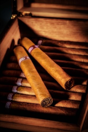 Preisvergleich Produktbild Cigars in a Humidor Journal: 150 page lined notebook / diary